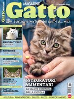 Gatto Magazine